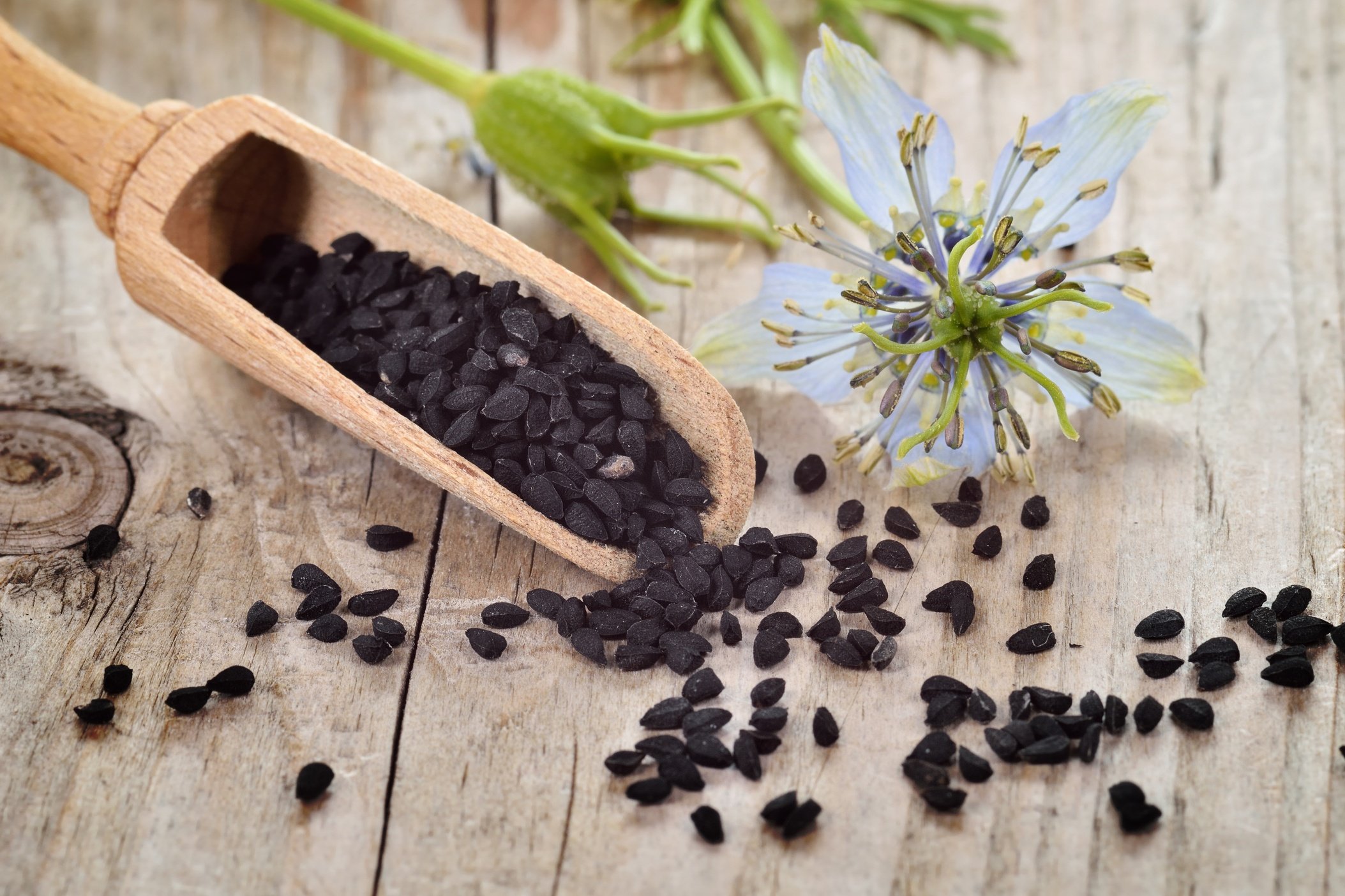 Huile de Nigelle, Cumin noir - 
